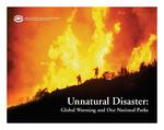 [2008] Unnatural Disaster